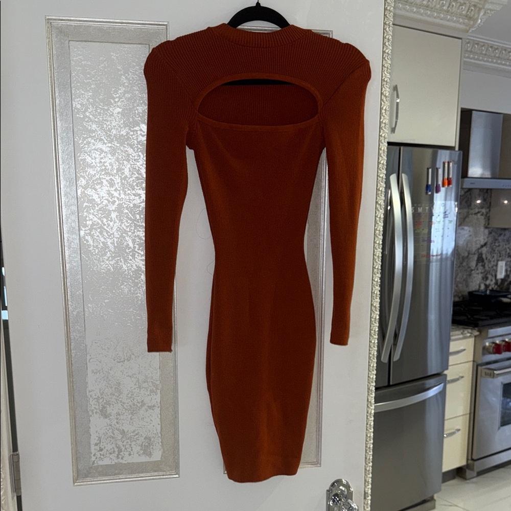 Fashion Nova Rust Long Sleeve Dress